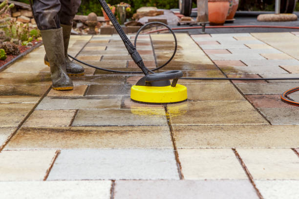 Animal Enclosure Cleaning in Franklin, TX